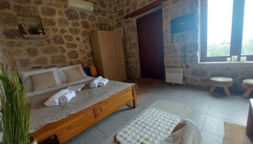 homonatura petrinum - Foto 3