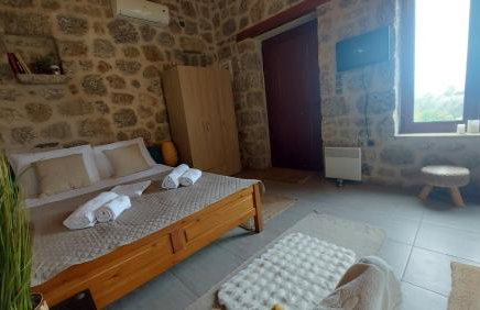 homonatura petrinum - Foto 3