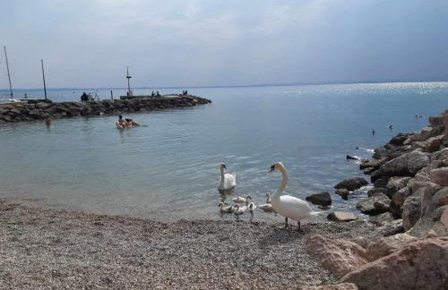 Dimora Miralago - vista panoramica sul lago, Wifi - Foto 44