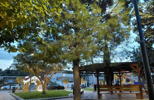 S&M Cozy Garden Lagonissi - Photo 40