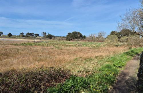 Kerlavost6 - Foto 70