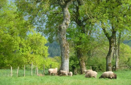 Maison à la campagne avec jardin clos - Animaux acceptés - FR-1-489-172 - Foto 36