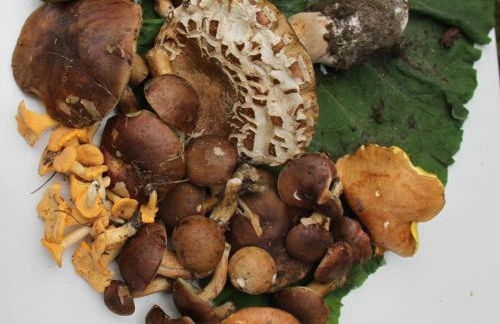 Ferienwohnung Felix - Photo 39