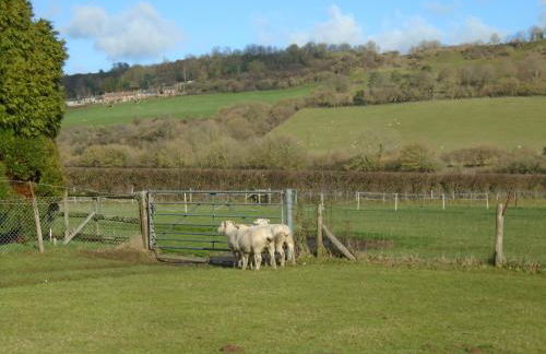 Greenham Cottage - Photo 28