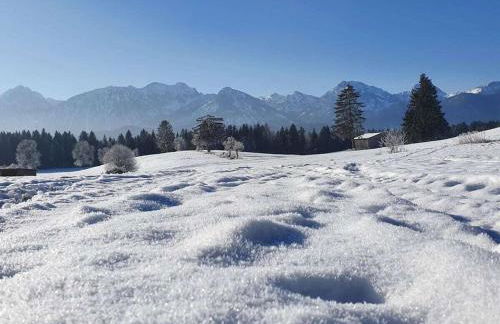 at the Seehotel Hartung - Foto 37