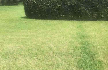 Home Away from Home - Foto 59