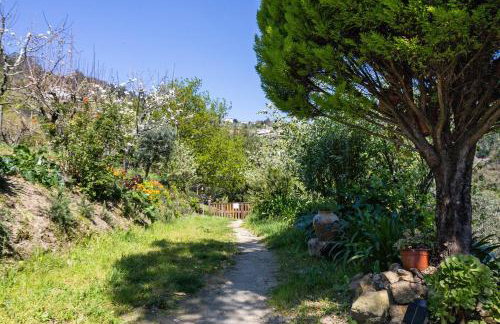 Quinta do Rio Douro - Turismo Rural - Foto 33