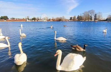 Billing Aquadrome ,3 bedrooms caravan - Photo 44