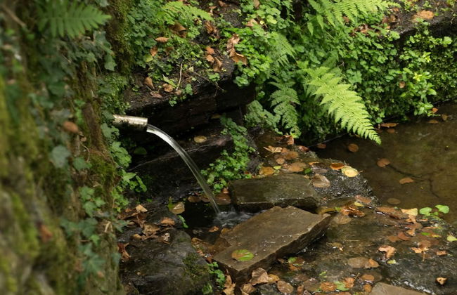 Molino de Yera - Foto 44