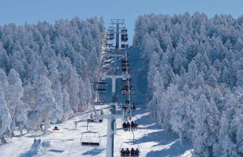 CASA DE PRINCESAS - Foto 53