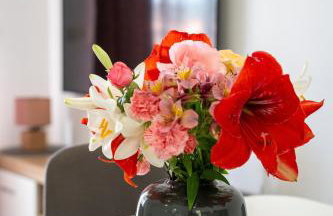 Lavanda home - Foto 51