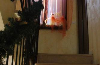 La Cascina della Vachina - Foto 29