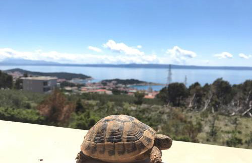 GV - Holiday home with MagnaPool - Foto 70