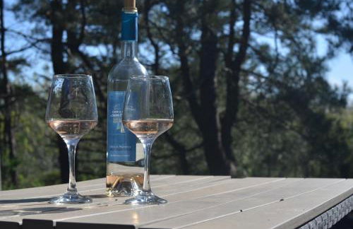 La villa dans les pins - Photo 29