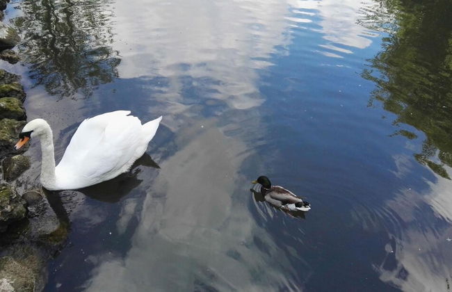 Sicily Country House & Beach - Photo 17