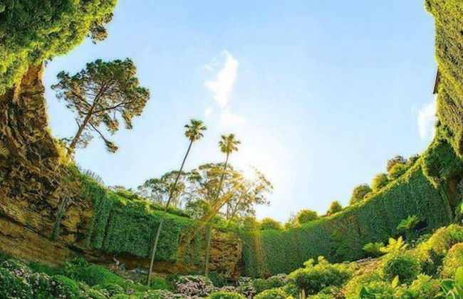 Fringe Apartments - Photo 16