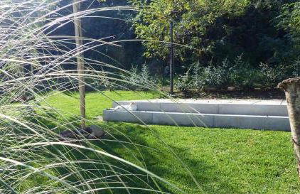 I Fiori nel golfo di Baratti - Foto 28