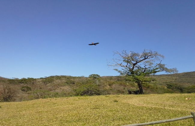 Casa 60M De Cachoeiras Lancha Canyons - Foto 16