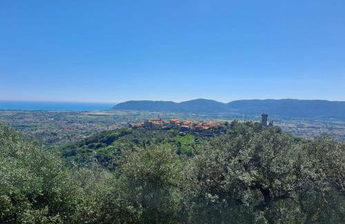 La Maestà di Alice - Foto 46