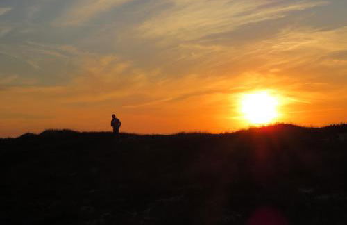 Casa da Murtinheira - Foto 11