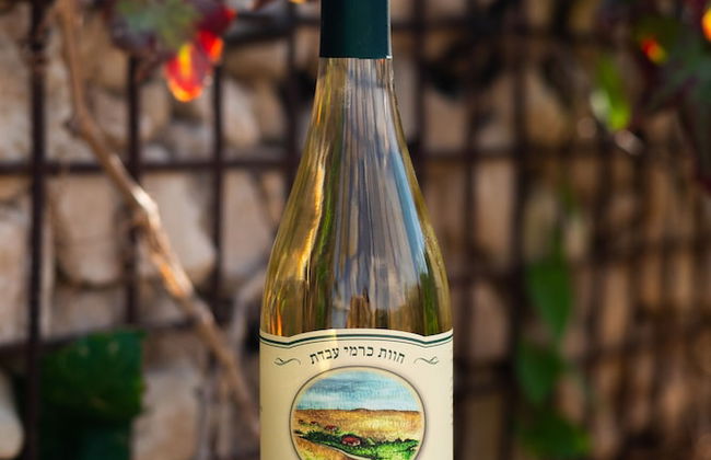 Carmey Avdat Farm - Foto 74