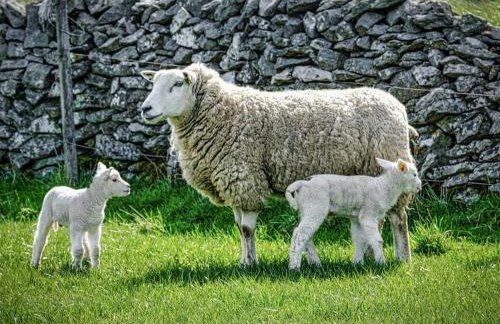 Pygreave Cottage - Photo 12
