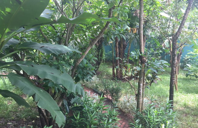 Amadi Villa - Photo 19