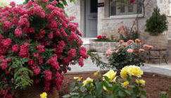 Filyra Xenonas - Foto 2