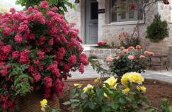 Filyra Xenonas - Foto 2