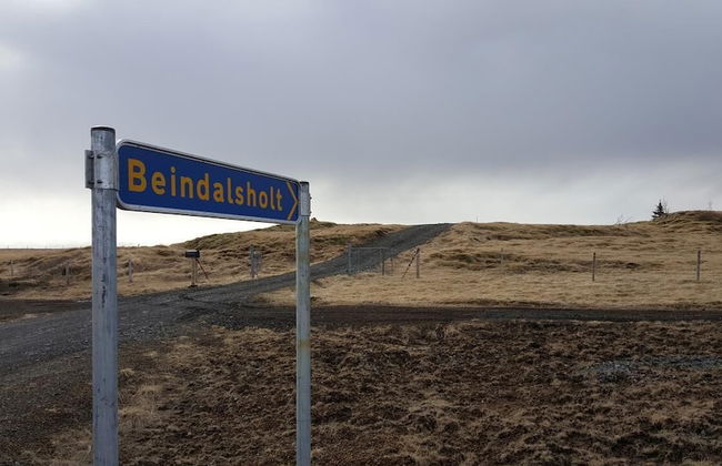 Beindalsholt - Foto 11