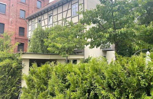 Ferienappartement Bachstelze - Foto 68