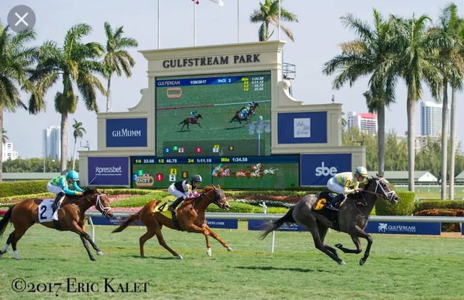 Amazing Apartment,hallandale Beach, Walk to Ocean! - Foto 31