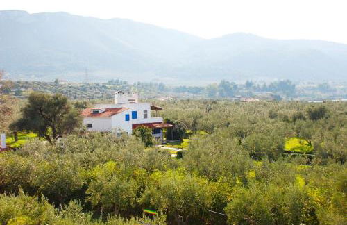 Beachfront cottage house in olive grove - Foto 3