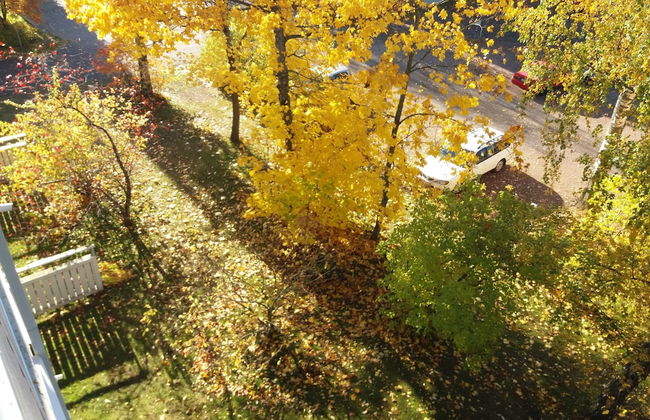 Spacious 4 Room Apartment & Sauna - Photo 32