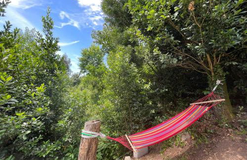 Teixeira Home - Gerês - Foto 29