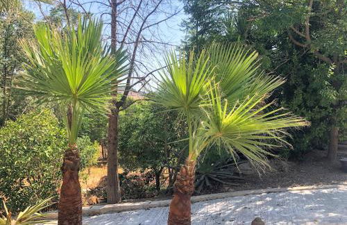 Casita Azahar Andalucia - Photo 34