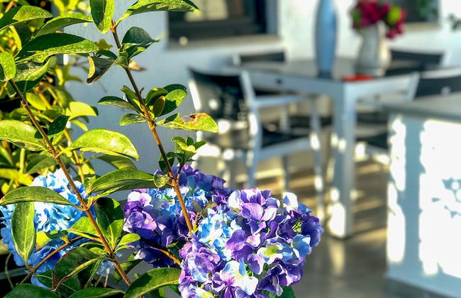 YALIN APART HOTEL - Foto 24