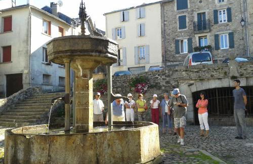Gîte "les hortensias" au coeur de Lacaune - Foto 16