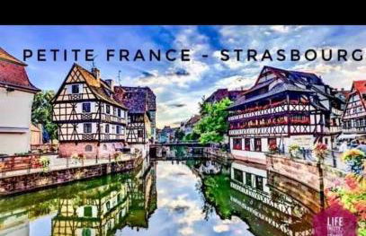 Bubble Home Relaxation and Modernity in Strasbourg - Foto 23