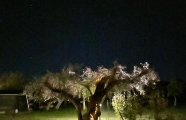 Monte das Hortas Velhas - Foto 6