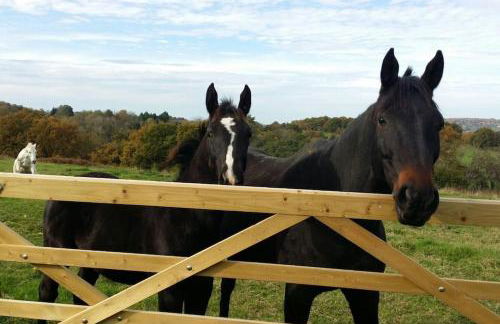 Maison proche Pont l'Eveque Deauville Honfleur - Foto 27