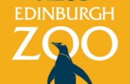 Eagles Land - Foto 12