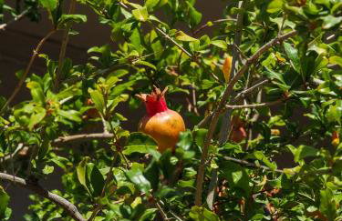 Rodi Apartment - Foto 13