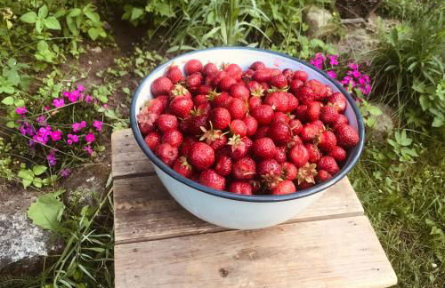 Auszeit auf dem Land im Forsthaus Hohe Heide - Foto 6