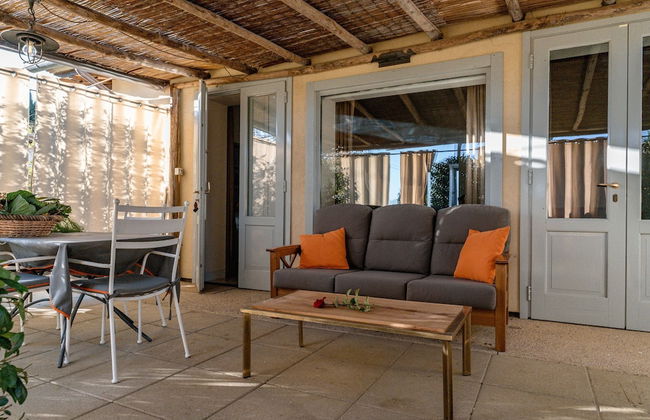 Rinidia Bio - Foto 59