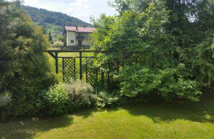 Świnna - Brzozowy Zagajnik - Foto 34