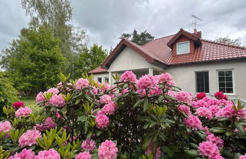 Villa Otolice obok Łowicza, 6 sypialni, balia, sauna, basen, snooker, 50 minut od Warszawy i Łodzi - Foto 46