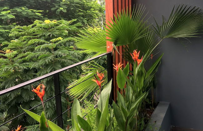 Olga Apartment Danang Vietnam - Foto 30