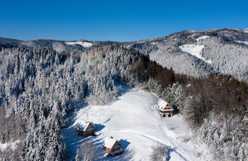 Chata na Kowalówkach - domek w górach - blisko szlaków i wyciągu - Foto 61