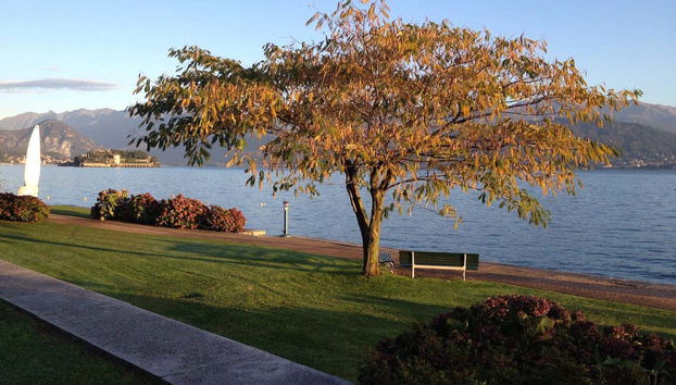 Borromean Islands Boat Trip - Foto 4